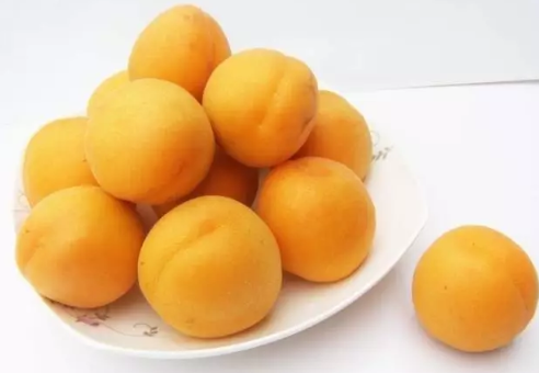 哺乳期吃杏子对宝宝有影响吗 哺乳期能吃杏子吗
