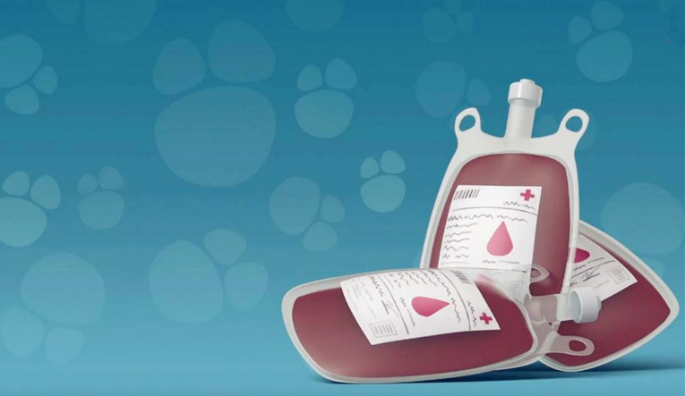 孩子贫血血红蛋白恢复后还要吃贫血铁剂吗 孩子贫血铁剂要吃多久