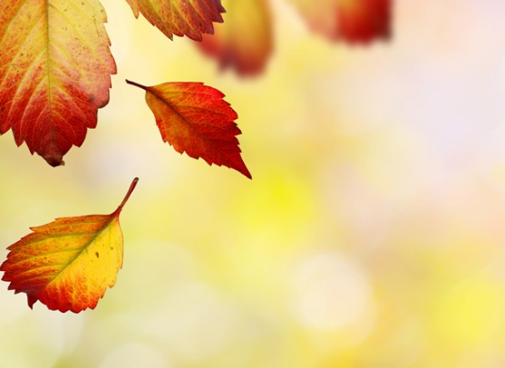 今日立秋说说心情配图 今日立秋了新开始感言