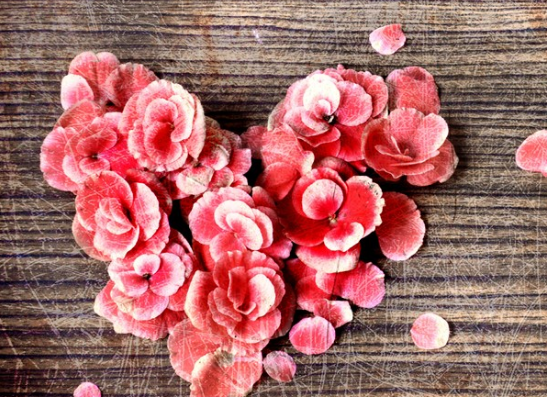 七夕想脱单说说大全 七夕想脱单的优美句子