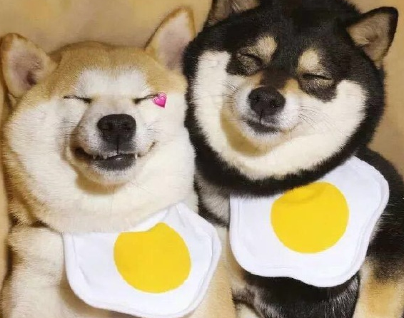 七夕一个人说说心情短语 七夕单身说说配图 七夕一个人说说心情短语 七夕单身说说配图