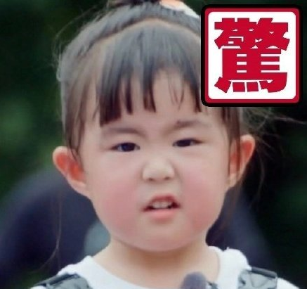 我们长大了大毛二毛个人资料 大毛二毛表情包合集 我们长大了大毛二毛个人资料 大毛二毛表情包合集