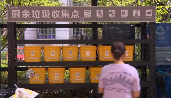 苏州垃圾分类罚款标准 苏州垃圾分类处罚标准有哪些