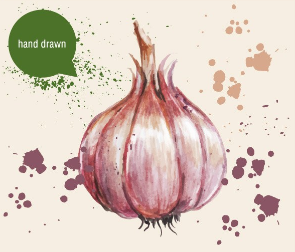 春分之后给宝宝吃哪些佐料比较好 宝宝春分饮食建议 春分之后给宝宝吃哪些佐料比较好 宝宝春分饮食建议