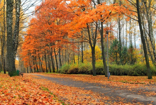 2019立秋心情感受朋友圈说说 立秋开心感想配图