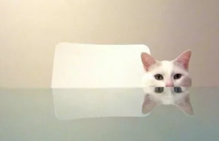 孕妇被辞退索赔13万原因 孕期被辞退并被索赔13万怎么回事