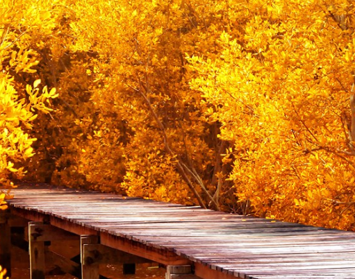 2019立秋心情感受朋友圈说说 立秋开心感想配图