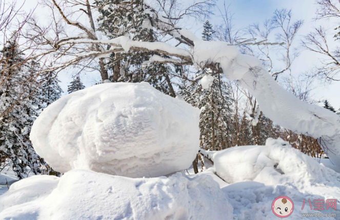 以下哪种雪会融化得更快 蚂蚁庄园12月6日答案解析