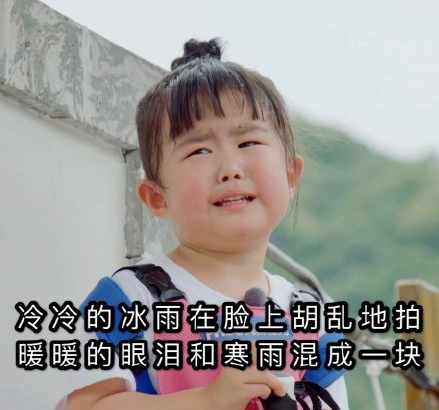 我们长大了大毛二毛个人资料 大毛二毛表情包合集 我们长大了大毛二毛个人资料 大毛二毛表情包合集