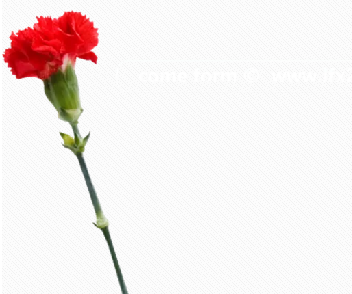 七夕套路情话大全图片 七夕表白套路句子