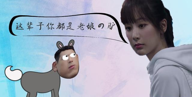 我的小毛驴不见了是什么梗 我的小毛驴不见了是哪一集