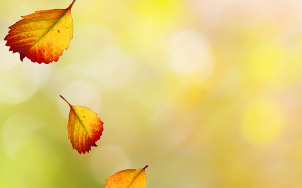 2019今日立秋配图句子说说朋友圈 今日立秋节气心情说说短语 2019今日立秋配图句子说说朋友圈 今日立秋节气心情说说短语