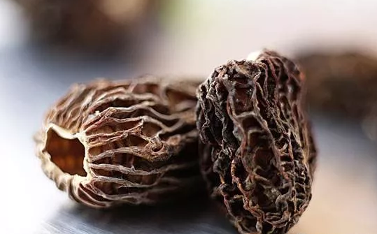 孕妇可以吃羊肚菌吗 孕妇吃羊肚菌的好处 孕妇可以吃羊肚菌吗 孕妇吃羊肚菌的好处