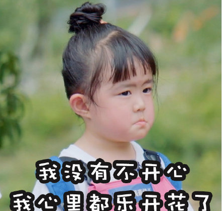 我们长大了大毛二毛个人资料 大毛二毛表情包合集 我们长大了大毛二毛个人资料 大毛二毛表情包合集