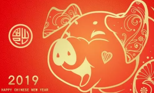 2019是金猪宝宝吗 最近的金猪宝宝是哪一年