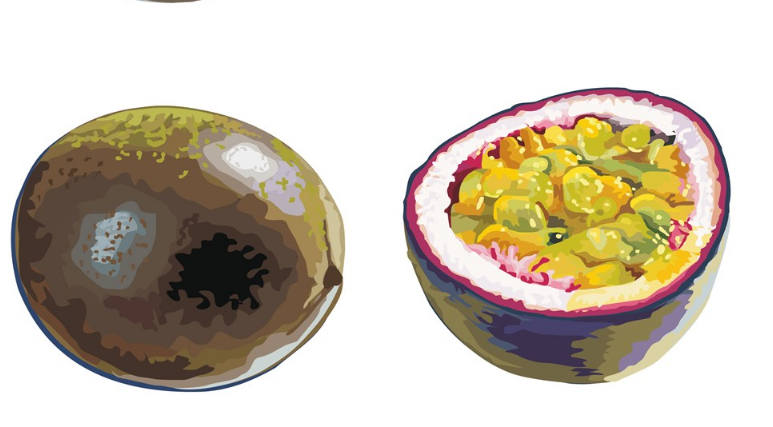 百香果孩子可以多吃吗 给孩子吃百香果要注意什么