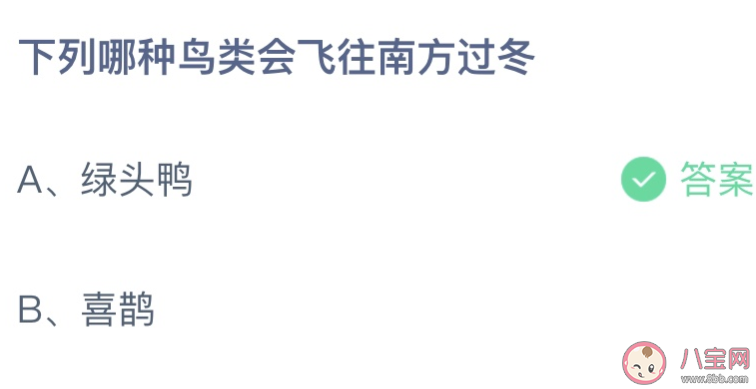 下列哪种鸟类会飞往南方过冬 蚂蚁庄园12月11日答案最新 下列哪种鸟类会飞往南方过冬 蚂蚁庄园12月11日答案最新