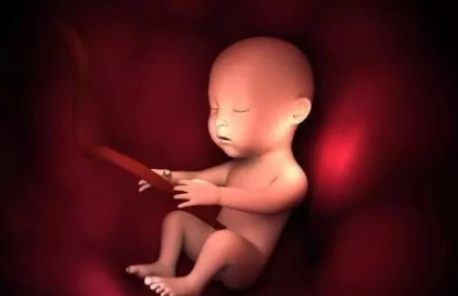 2019年6月6日受孕生男生女 农历五月初四怀孕是男孩还是女孩 2019年6月6日受孕生男生女 农历五月初四怀孕是男孩还是女孩