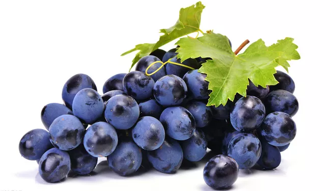 2019处暑节气吃什么传统食物 处暑传统食物推荐 2019处暑节气吃什么传统食物 处暑传统食物推荐