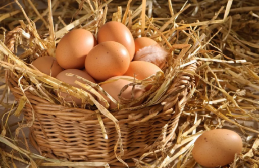 土鸡蛋真的有营养吗 看完315晚会你还买土鸡蛋吗 土鸡蛋真的有营养吗 看完315晚会你还买土鸡蛋吗