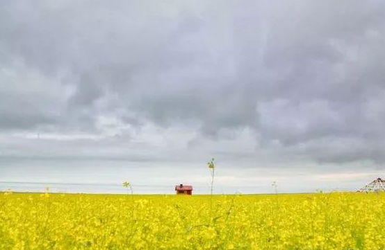 八月你好早安心语 八月请善待我朋友圈说说 八月你好早安心语 八月请善待我朋友圈说说