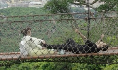 韩商言恐高是哪一集 韩商言为什么恐高