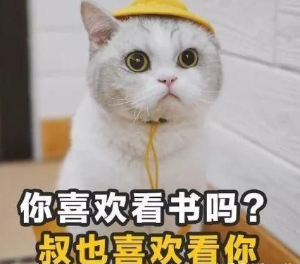 七夕土味情话大全 七夕表白土味情话句子 七夕土味情话大全 七夕表白土味情话句子