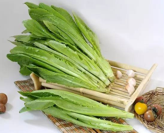 莴苣叶子是油麦菜吗 莴苣叶子和油麦菜有什么区别