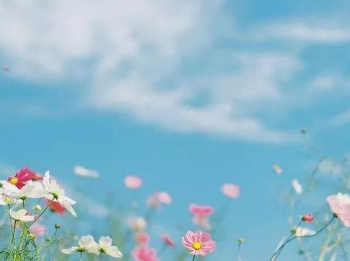 2019七夕情人节祝福语大全 七夕温馨感人祝福语