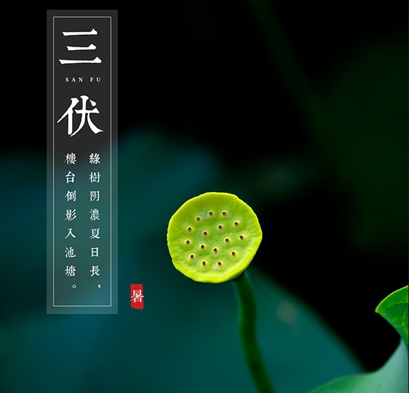 入伏这天吃什么 三伏天入伏养生避暑建议