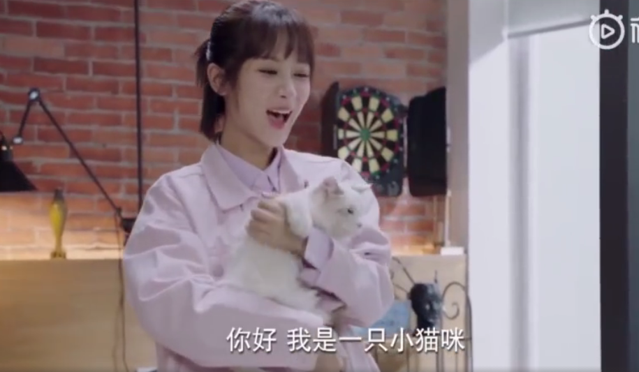 佟年送韩商言猫是哪一集 为什么佟年要送韩商言猫