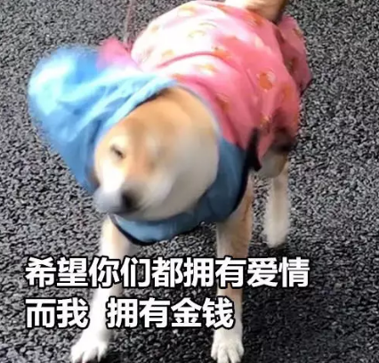 一个人的七夕伤感说说 单身七夕情人节2019