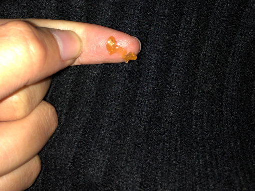 小鹿邦邦海藻油有腥味吗 小鹿邦邦海藻油味道怎么样