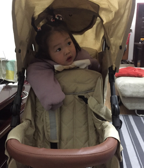 Evangeline双胞胎婴儿车怎么样 双胞胎婴儿车怎么选择 Evangeline双胞胎婴儿车怎么样 双胞胎婴儿车怎么选择