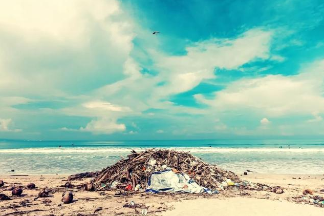 北京垃圾分类标准和上海为什么不一样 北京垃圾分类标准和上海哪些不一样 北京垃圾分类标准和上海为什么不一样 北京垃圾分类标准和上海哪些不一样