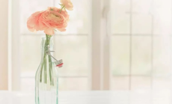 处暑吃什么传统食物 处暑节气养生食物推荐 处暑吃什么传统食物 处暑节气养生食物推荐