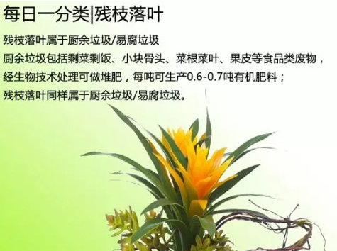 郑州垃圾分类怎么时候开始 郑州垃圾分类怎么投放