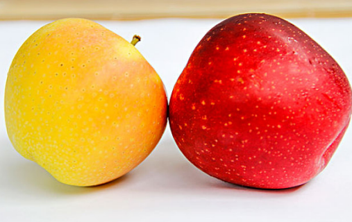 维生素B族种类大全 维生素B作用和功能 维生素B族种类大全 维生素B作用和功能