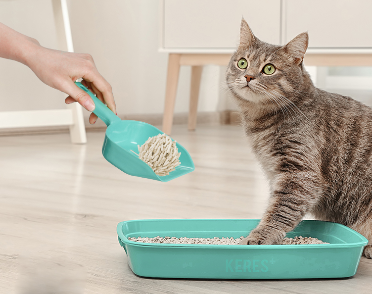 怎么区分猫砂是什么垃圾 不同材料的猫砂是什么类型的垃圾