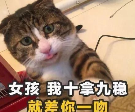 七夕土味情话大全 七夕表白土味情话句子 七夕土味情话大全 七夕表白土味情话句子