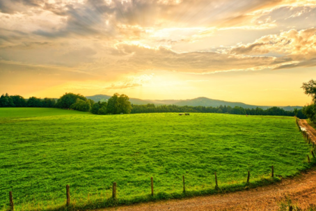 宝宝驱蚊液有农药成分是真的吗 避蚊胺是不是农药成分