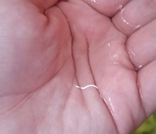 韩国UZA宝宝洗衣液怎么样 韩国UZA宝宝洗衣液安全吗 韩国UZA宝宝洗衣液怎么样 韩国UZA宝宝洗衣液安全吗