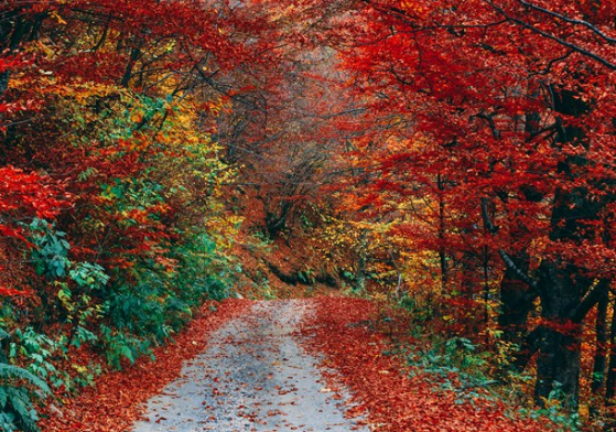 2019立秋朋友圈说说 立秋发什么说说好