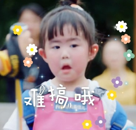我们长大了大毛二毛个人资料 大毛二毛表情包合集 我们长大了大毛二毛个人资料 大毛二毛表情包合集