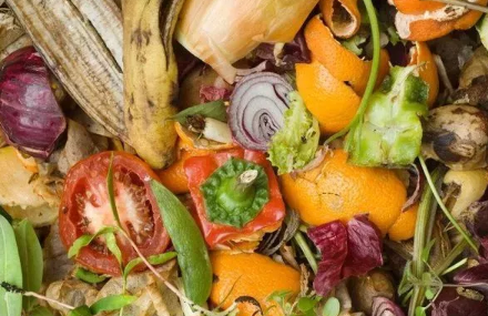 贵阳垃圾分类标准是什么 贵阳垃圾分类什么时候开始