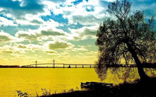 各品牌处暑创意海报大全 处暑海报文案推荐 各品牌处暑创意海报大全 处暑海报文案推荐