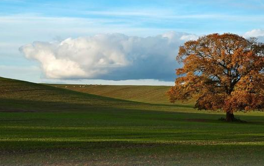2019处暑文案怎么写 处暑创意文案海报合集 2019处暑文案怎么写 处暑创意文案海报合集