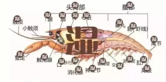 南宁垃圾分类标准是什么 南宁垃圾分类罚款标准