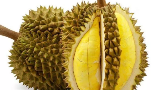 月经量少吃榴莲好不好 月经量少吃榴莲的好处 月经量少吃榴莲好不好 月经量少吃榴莲的好处