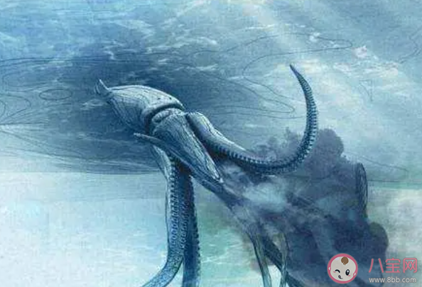 以下哪种海洋动物更擅长游泳 神奇海洋12月29日答案